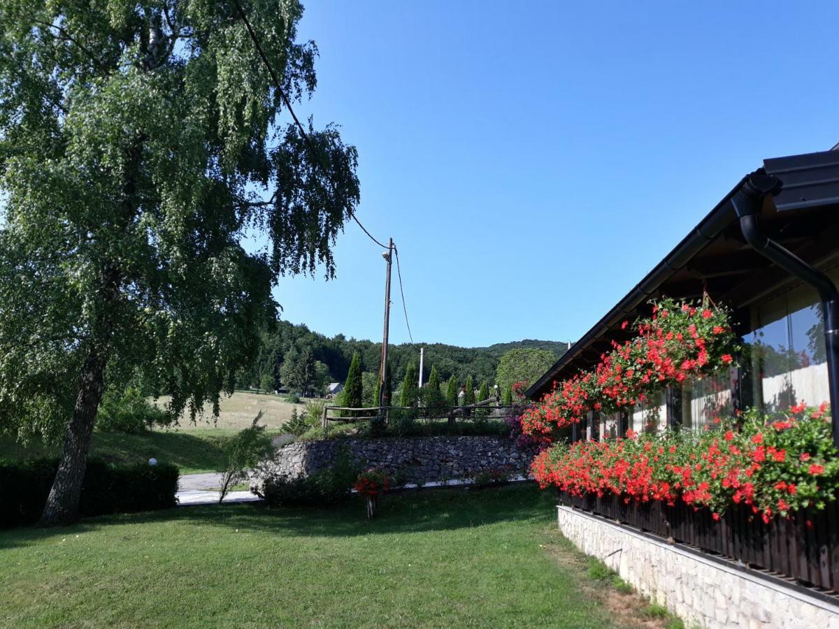Guest house Pansion Breza 4*