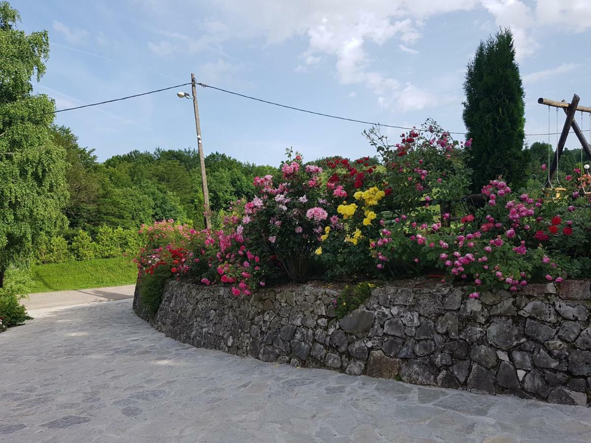 Pansion Breza Guest house